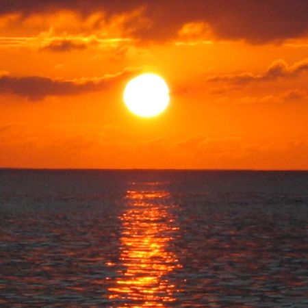 Roatan Bed & Breakfast Apartments ウェスト・エンド エクステリア 写真