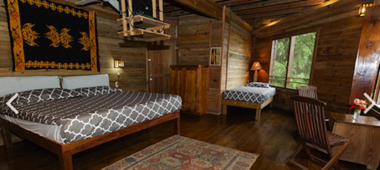Roatan Bed & Breakfast Apartments ウェスト・エンド エクステリア 写真