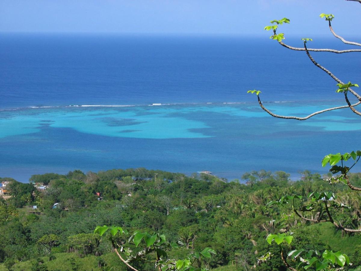 Roatan Bed & Breakfast Apartments ウェスト・エンド エクステリア 写真